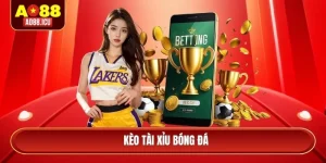 kèo tài xỉu bóng đá